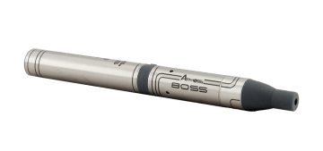 Boss 1
